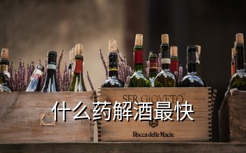 什么藥解酒最快