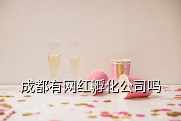 成都有網(wǎng)紅孵化公司嗎