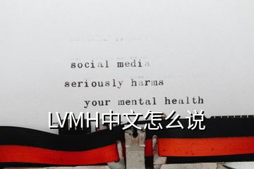 LVMH中文怎么說