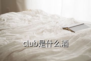 club是什么酒