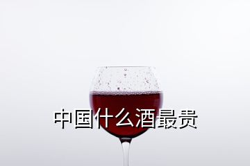 中國什么酒最貴