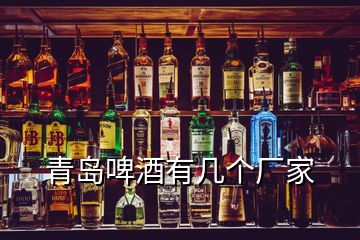 青島啤酒有幾個(gè)廠家