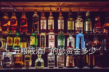 五糧液酒廠的總資金多少