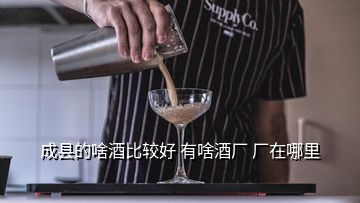 成縣的啥酒比較好 有啥酒廠 廠在哪里