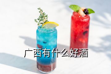 廣西有什么好酒