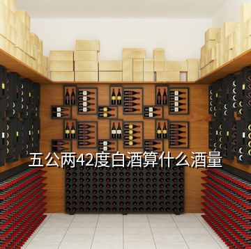 五公兩42度白酒算什么酒量