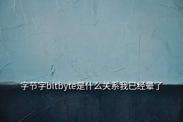 字節(jié)字bitbyte是什么關(guān)系我已經(jīng)暈了