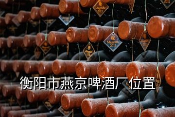 衡陽(yáng)市燕京啤酒廠位置