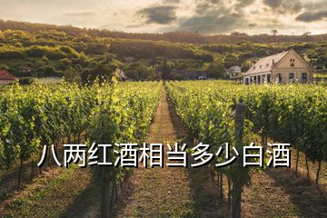 八兩紅酒相當(dāng)多少白酒