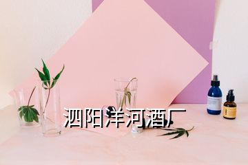 泗陽(yáng)洋河酒廠