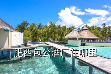 肥西包公酒廠在哪里