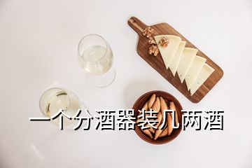 一個分酒器裝幾兩酒