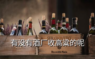 有沒(méi)有酒廠收高粱的呢