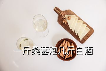 一斤桑葚泡幾斤白酒