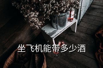 坐飛機(jī)能帶多少酒