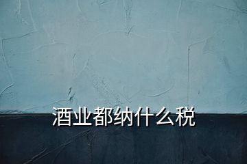 酒業(yè)都納什么稅