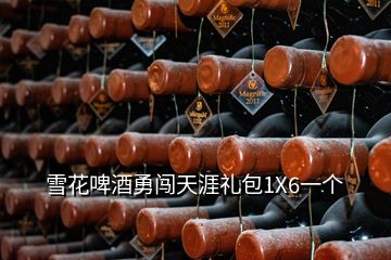 雪花啤酒勇闖天涯禮包1X6一個