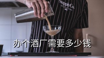 辦個酒廠需要多少錢