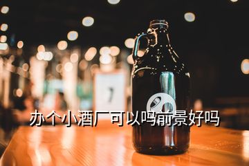 辦個小酒廠可以嗎前景好嗎