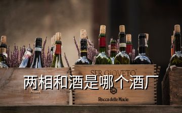 兩相和酒是哪個(gè)酒廠