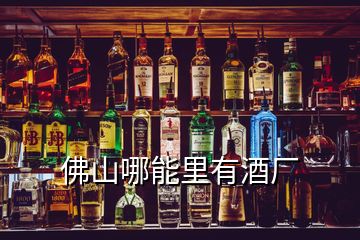 佛山哪能里有酒廠