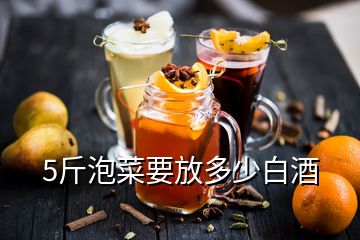 5斤泡菜要放多少白酒