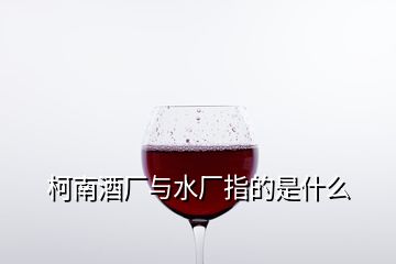 柯南酒廠與水廠指的是什么