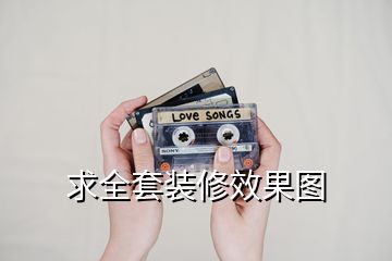 求全套裝修效果圖