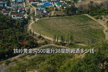 鐵嶺黃金溝500毫升38度朗姆酒多少錢