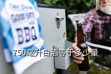 750毫升白酒等于多少量