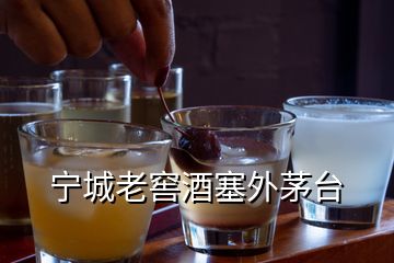 寧城老窖酒塞外茅臺