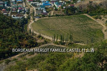 BORDEAUX MERLOT FAMILLE CASTEL 什么酒