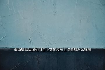 海南椰島集團如何企業(yè)文化及員工待遇都怎么樣啊