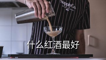 什么紅酒最好