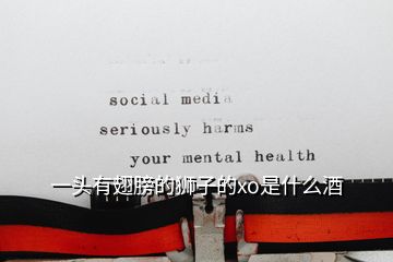 一頭有翅膀的獅子的xo是什么酒