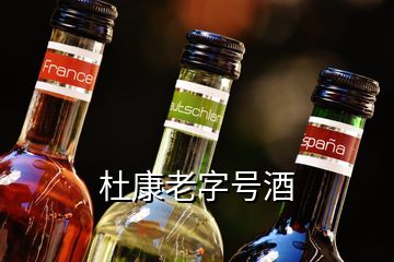 杜康老字號(hào)酒