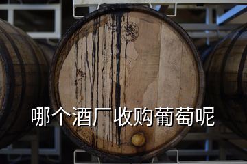 哪個(gè)酒廠收購葡萄呢