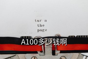 A100多少錢啊