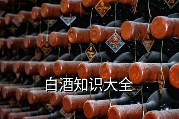 白酒知識(shí)大全