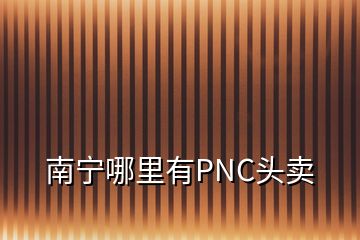 南寧哪里有PNC頭賣