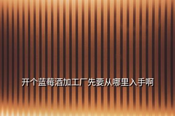 開個藍莓酒加工廠先要從哪里入手啊