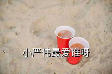 小嚴(yán)偉最愛(ài)誰(shuí)呀