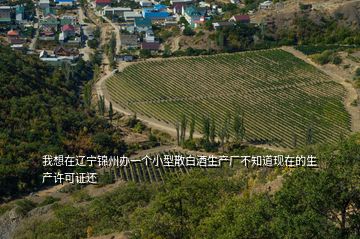 我想在遼寧錦州辦一個小型散白酒生產廠不知道現在的生產許可證還