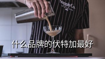 什么品牌的伏特加最好