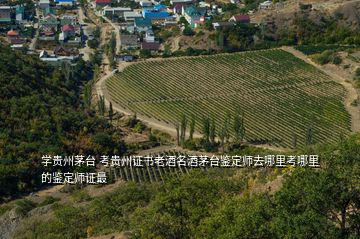 學(xué)貴州茅臺 考貴州證書老酒名酒茅臺鑒定師去哪里考哪里的鑒定師證最