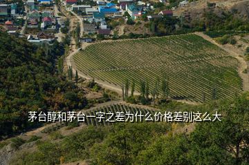 茅臺醇和茅臺一字之差為什么價格差別這么大