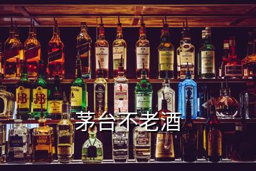 茅臺不老酒