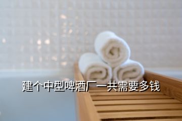 建個中型啤酒廠一共需要多錢