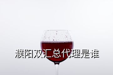 濮陽雙匯總代理是誰