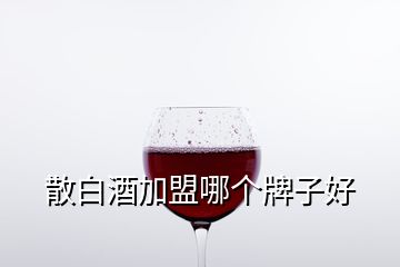 散白酒加盟哪個(gè)牌子好